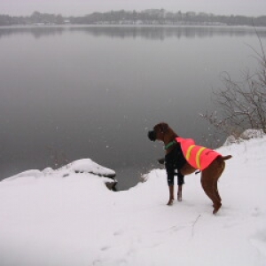 At the Lake...