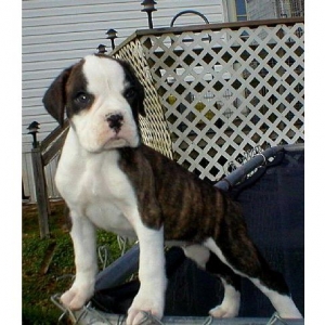 Our newest family member, Venus!
