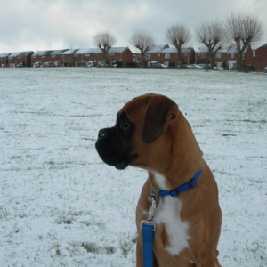 1st Christmas in England (5 months)