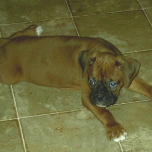 first day home
