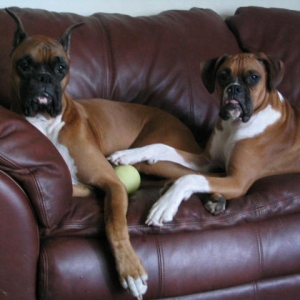 Couch Time