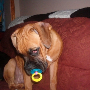 still loves his soother even at 5 months