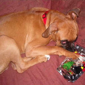 mine ! you no touch my Skittles