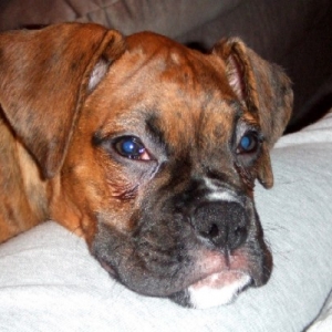 So Tired..... 11 weeks old