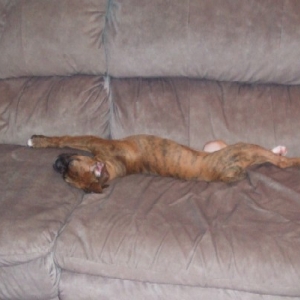 Stretch!!!!! 13.5 weeks old