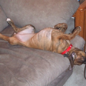 Sleeping Upside Down! 12 weeks old