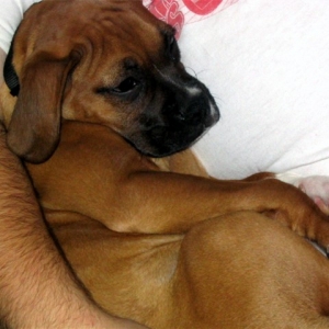Kai at 10 weeks