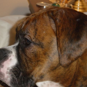What a beautiful profile