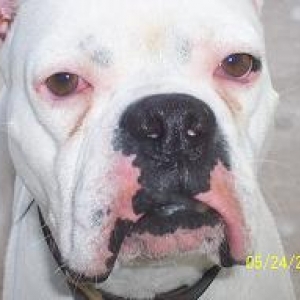 Rocky Up Close and Personal