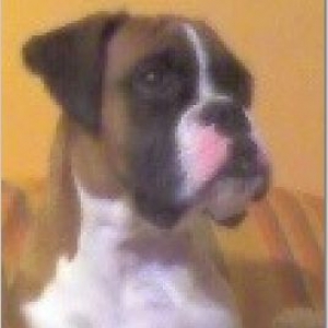 Waiting for my treat