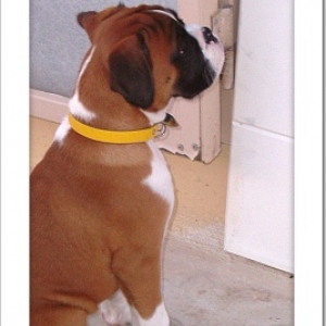 waiting  to have my toy