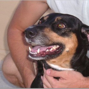 My Best friend Lucky