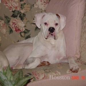 houstonoct