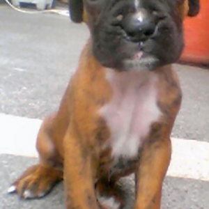 My 1st one