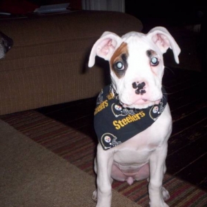 Are you ready for some Football!??