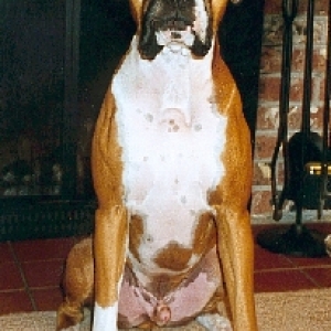 Taylor_sitting