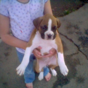 This is our new baby...no name yet!  Help