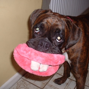 Say cheese Lola