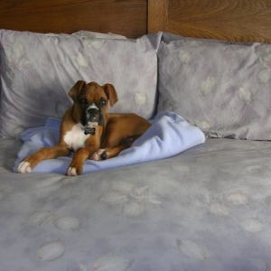 King Cooper