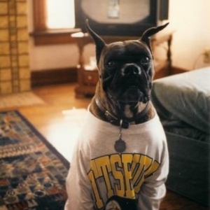 T-Rex, the Steeler's Fan