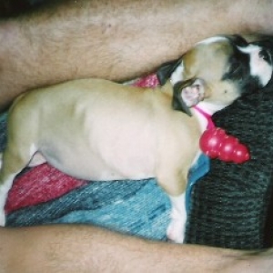 Abby - 8 weeks