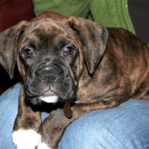 10 weeks!