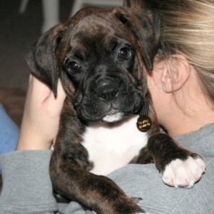 Samson loves to snuggle