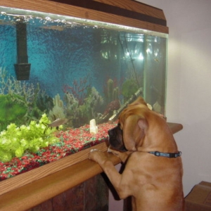 Sky Meets the Fish