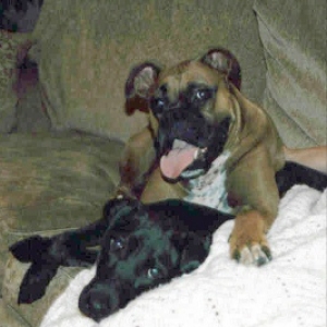 Tanner with his sis, she misses you!!