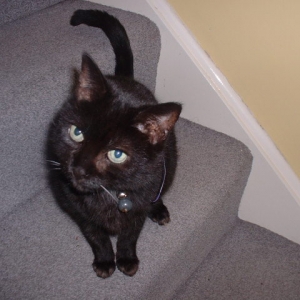 Finnegan waiting to be fed