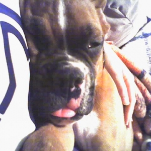 Rocky's Togue