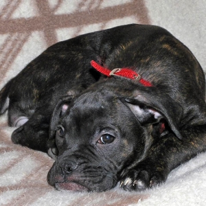 Once again taking a break.