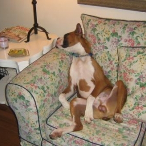 I have no shame.  I love my ZZzzzz's.