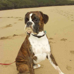 Whoops I've got sand on my face again