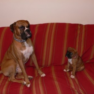 My Babies on the Couch