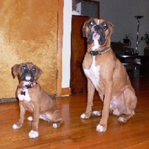 Supermodel Babies