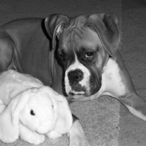 Can I play with it now?