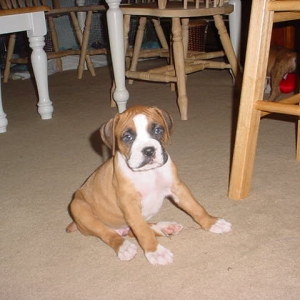 Look Mom, I can sit!