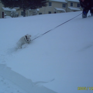 Snow pictures