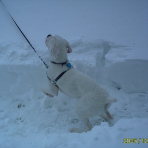 Snow pictures