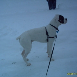 Snow pictures