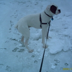 Snow pictures