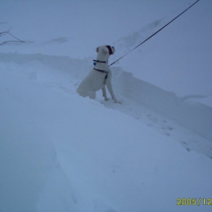 Snow pictures