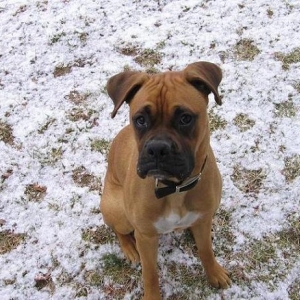 Hey, my butt is getting cold, hurry...