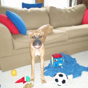 such a goof!!!
