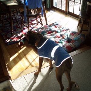 new coat