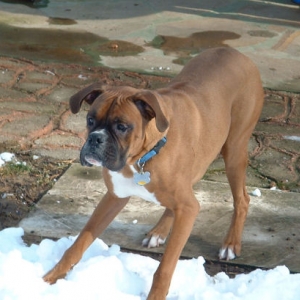 Samson Getting Ready