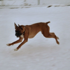 Running In The Snow