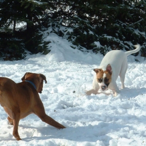 Play Position