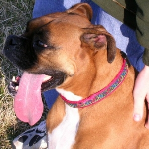 Tanner "the Tongue"